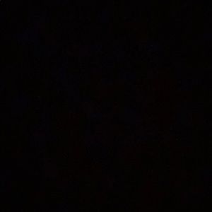 Meet your Posher, Vicky